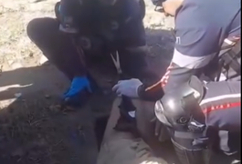 Acidente de moto deixa condutor com ferimentos na AL-486, em Craíbas