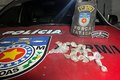 PM prende homem por tráfico de drogas na Feira do Rato, em Maceió