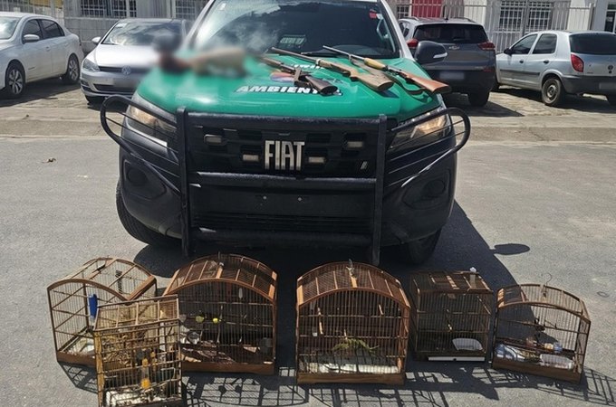 BPA resgata animais silvestres e apreende três armas em operação no Litoral Norte