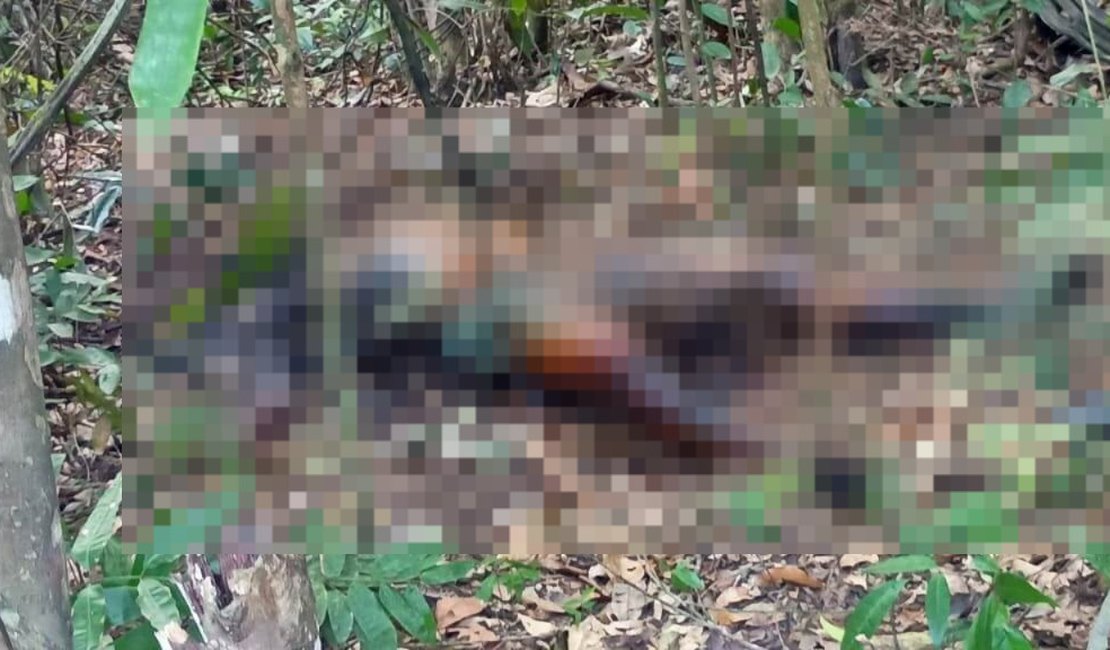 Cadáver em estado avançado de decomposição é localizado em matagal no interior alagoano