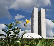 Número de candidatos ao Senado é o maior já registrado em eleições