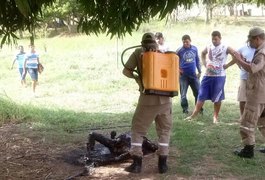 Corpos são encontrados carbonizados em Santana do Ipanema