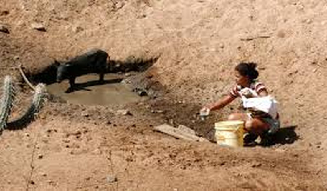 AL terá chuvas abaixo da média nos 3 primeiros meses do ano, diz secretaria