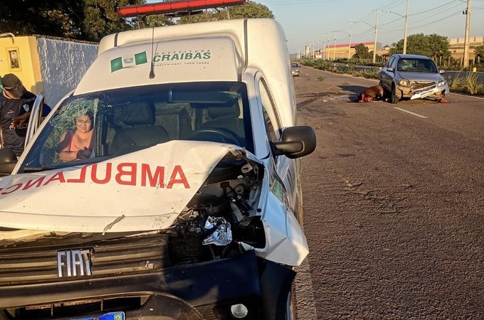 Acidente envolvendo três veículos e um cavalo deixa feridos na AL-220, em Arapiraca