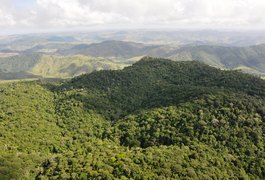 Alagoas registra queda de 68,4% no desmatamento em 2025, segundo MapBioma