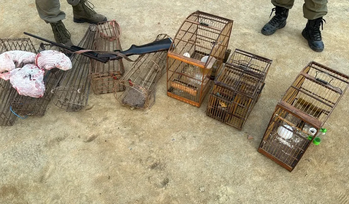 Polícia Ambiental apreende armas, resgata aves silvestres e flagra caça ilegal em Alagoas