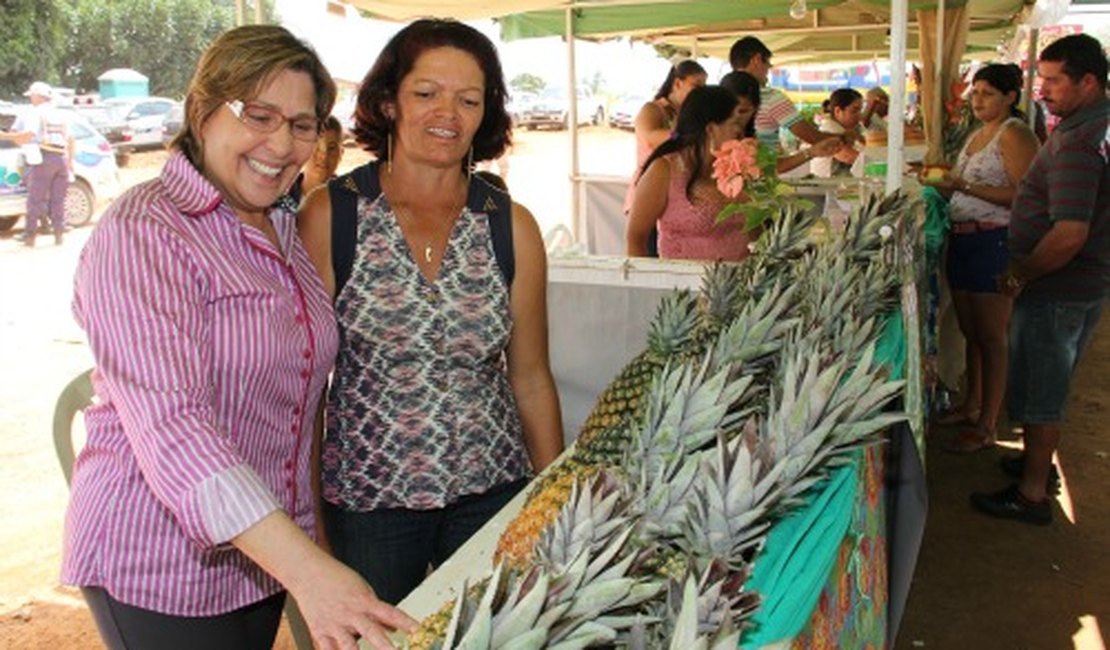 Comunidade do Poção se destaca em AL na produção de abacaxi