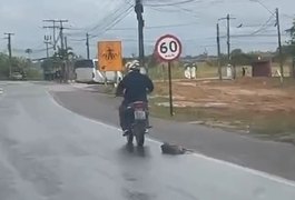Polícia Civil identifica dono de moto flagrada arrastando cachorro em Rio Largo