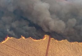 Fogo em SP agrava perda na safra e pode afetar preço do açúcar e etanol