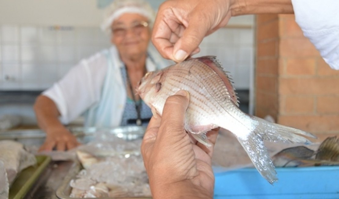 Especialistas ressaltam benefícios de se consumir pescados