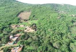 Idosa de 75 anos se perde em mata e sobrevive 7 dias comendo capim