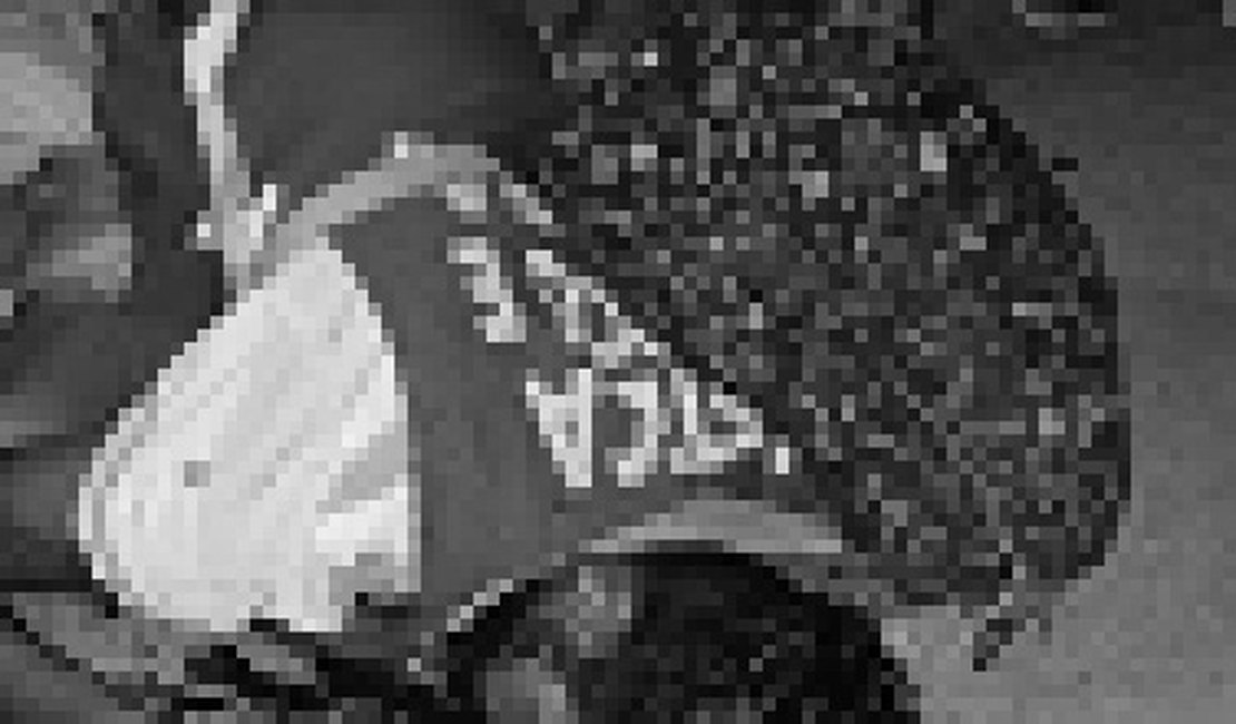 Espancamento deixa homem gravemente ferido em Arapiraca