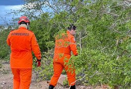 Bombeiros procuram pessoa desaparecida em mata fechada em Delmiro Gouveia