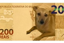 Lobo-guará estampará cédula de R$ 200, mas Banco Central avalia ação com vira-lata caramelo