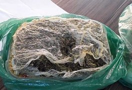 Agentes penitenciários impedem entrada de droga no sistema prisional