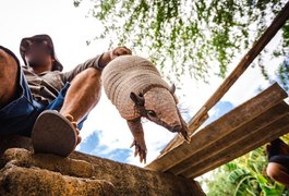 FPI autua suspeito de manter animais silvestres em cativeiro na cidade de Delmiro Gouveia