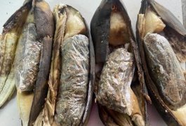 Policiais penais flagram esposa e mãe de reeducando com bananas recheadas de drogas em presídio de Maceió