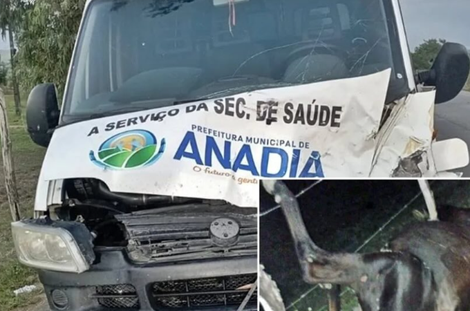 Criança fica ferida em acidente envolvendo animal e van da Prefeitura de Anadia, na AL 450