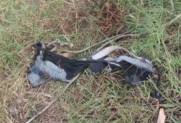 Homem queimado vivo tinha problemas mentais, diz delegado
