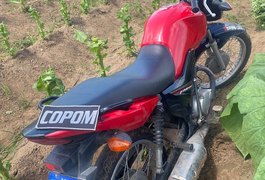 Polícia Militar recupera moto roubada, dentro de plantação de fumo, na zona rural de Arapiraca