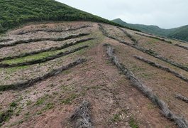 Apontado como maior devastador da Caatinga em Alagoas é preso pela Polícia Federal em Traipu