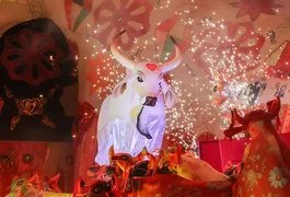 Boi Garantido vence festival de Parintins e garante o 33º título