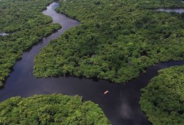 Cientista diz que próxima grande pandemia pode surgir no Brasil