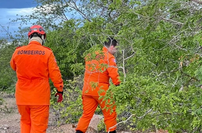 Bombeiros procuram pessoa desaparecida em mata fechada em Delmiro Gouveia