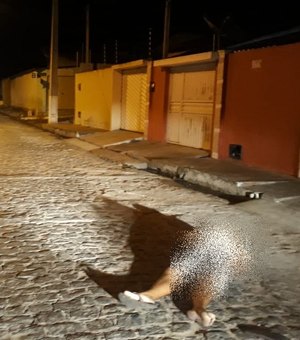 Homem é assassinado a tiros em Girau do Ponciano
