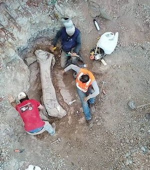 Escavação para construção de ferrovia revela fóssil de dinossauro no Maranhão