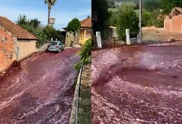 Tanques explodem e vinho tinto inunda ruas de Portugal