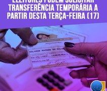 Eleitores podem solicitar transferência temporária de domicílio a partir desta terça-feira (17)