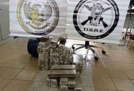 Ação policial apreende 40 quilos de maconha numa casa no bairro Cidade Universitária