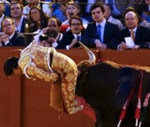 [Vídeo] Toureiro de 19 anos é chifrado nas nádegas, na Espanha