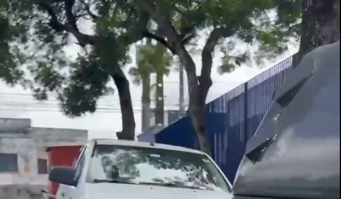 Polícia Civil recupera caminhonete furtada de empresa em Maceió