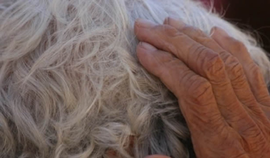 Filhas são autuadas após agredir o pai de 72 anos em Batalha