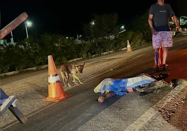 Homem morre após caminhonete atingir cavalo na BR-104, em União dos Palmares