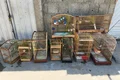 PM apreende 111 aves silvestres mantidas ilegalmente em cativeiro no Litoral Sul de Alagoas