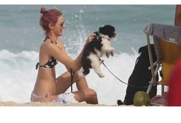 Laura Neiva curte praia com cachorros que adotou quando era noiva de Chay Suede