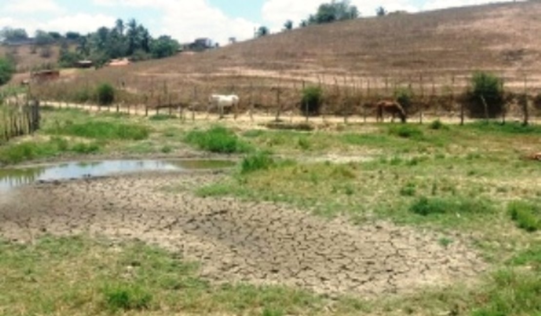 Em 15 anos, municípios de Alagoas baixaram 902 decretos de situação de emergência