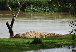 Alagoas fecha o cerco contra extração irregular de areia