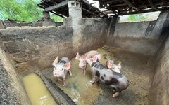 Proprietários foram orientados a regularizar as atividades atendendo as legislações ambientais