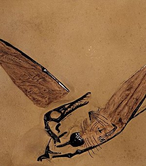 Fóssil de “dragão voador” é encontrado preservado no deserto do Chile