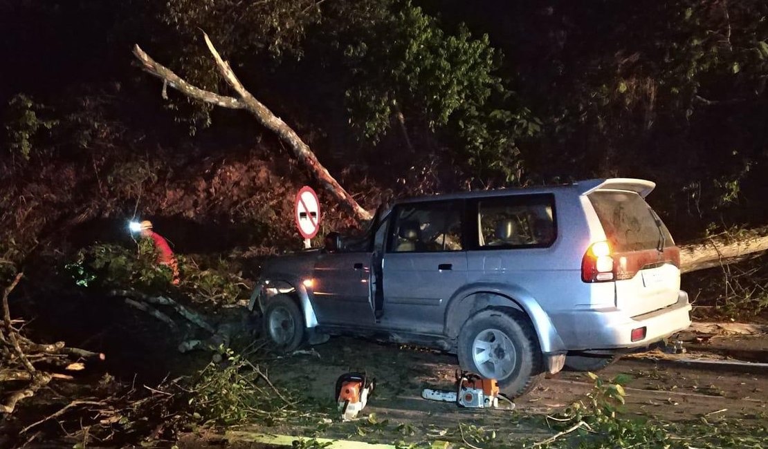 Quatro pessoas ficam feridas após colisão de veículo com árvore em Murici