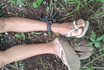 Dois homens são encontrados mortos em área de mata, em ﻿Porto de Pedras, Litoral Norte de Alagoas