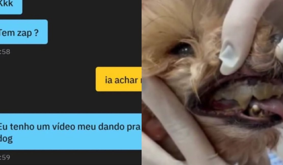 Tutor de cachorro é indiciado por oferecer animal para penetrar homens, em app: 'Tenho um vídeo meu dando pra dog'