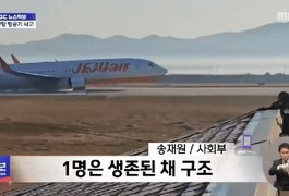 Pilotos desligaram motor errado após colisão com aves, aponta investigação sobre acidente aéreo na Coreia do Sul