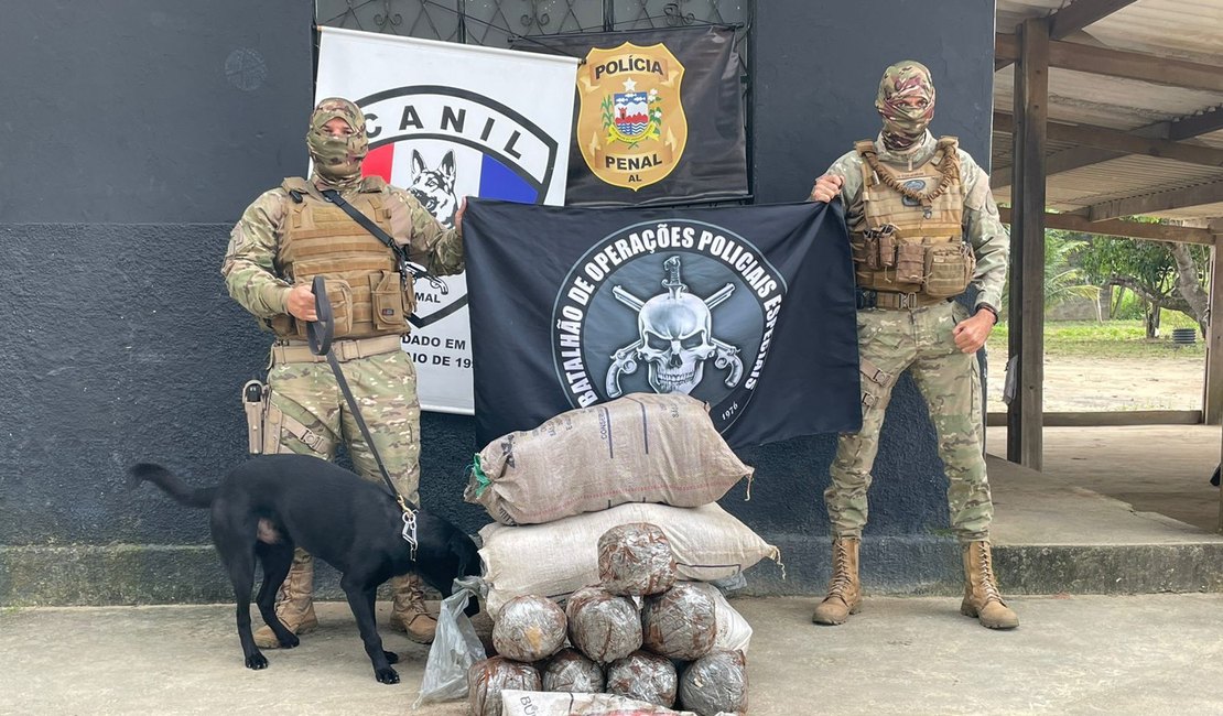 Quase 100kg: Polícia descobre delivery de drogas e apreende maconha em sacos de farinha em Maceió