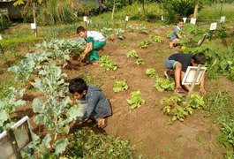 Escola Rural compartilha experiência de horta escolar com instituições de ensino