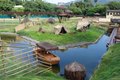 Material de aves mortas em BioParque do Rio será analisado em Campinas